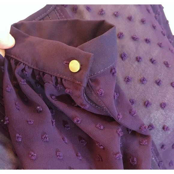 Francesca's NWT Sheer Swiss Dot Top sz Medium M Notch Collar Popover Tunic - Picture 3 of 7